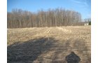 Property photo 22 - 44 Acres Offered in 3 Tracts